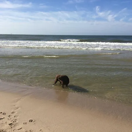 Ostseetraum * Schönhagen